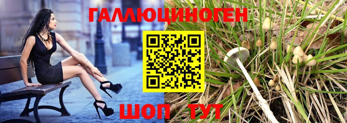 Псилоцибиновые грибы Cubensis Великий Новгород