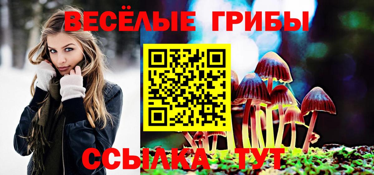 Галлюциногенные грибы Cubensis  Вход с VPN  купить закладку  Великий Новгород 